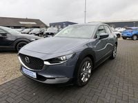 Gebraucht Mazda CX-30 2020 Grau SUV