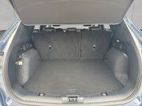 Gebraucht Ford Kuga ST-Line X 150 PS (110 kW) 2023 Blau SUV
