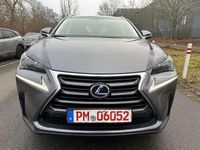 Gebraucht Lexus NX300h Executive Line 155 PS (114 kW) 2015 Blau SUV