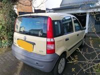 gebraucht Fiat Panda Panda1.1 Active