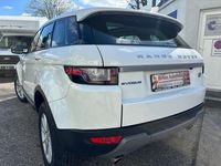 Gebraucht Land Rover Range Rover evoque 150 PS (110 kW) 2016 Weiß SUV