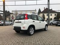Gebraucht Fiat Panda 69 PS (50 kW) 2024 Gelato weiß Kleinwagen