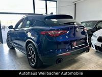 Gebraucht Alfa Romeo Stelvio Tech Edition 209 PS (153 kW) 2019 Blau SUV