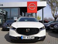 Gebraucht Mazda CX-30 Homura-Line 122 PS (89 kW) 2023 Snowflake white pearl SUV