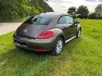 Gebraucht VW Beetle 105 PS (77 kW) 2012 Braun Kleinwagen
