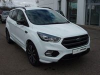 Gebraucht Ford Kuga ST-Line 179 PS (131 kW) 2019 Weiß SUV