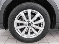 Gebraucht Audi Q3 Ambiente 245 PS (180 kW) 2021 Grau SUV