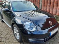 Gebraucht VW Beetle 105 PS (77 kW) 2014 Schwarz Kleinwagen