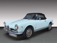 gebraucht Alfa Romeo Spider Spider GUILIETTAVELOCE 750F