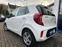 Gebraucht Kia Picanto 84 PS (61 kW) 2022 (ud) schneeweiss Kleinwagen