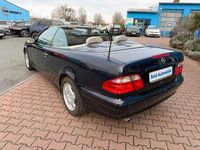 Gebraucht Mercedes CLK200 Elegance 163 PS (119 kW) 2000 Blau Cabrio