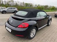 gebraucht VW Beetle Cabriolet Design+Navi+Leder+PDC+TOP