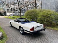 gebraucht Jaguar XJS XJSCArden Umbau 4 Sitze Original 52300 Km