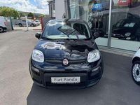 Gebraucht Fiat Panda 69 PS (50 kW) 2024 601 cinema schwarz Kleinwagen