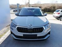 Gebraucht Skoda Karoq Selection 150 PS (110 kW) 2025 Stahlgrau SUV