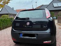 gebraucht Fiat Punto Evo 