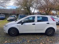 Gebraucht Fiat Punto Pop 69 PS (50 kW) 2013 Weiß Kleinwagen