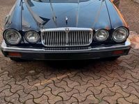 gebraucht Jaguar XJ12 