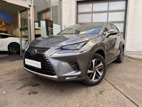 gebraucht Lexus NX300h E-FOUR Luxury Line * All-Wetter-Reifen *