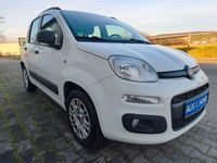 Gebraucht Fiat Panda Easy 69 PS (50 kW) 2015 Weiß Kleinwagen