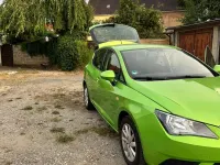 Gebraucht Seat Ibiza Reference 69 PS (50 kW) 2012 Grün Kleinwagen
