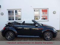Gebraucht VW Beetle Allstar 150 PS (110 kW) 2017 Schwarz Kleinwagen