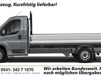 Neu Opel Movano 179 PS (131 kW) 2026 Thunder grau Van