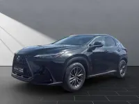 Neu Lexus NX350h Executive Line 243 PS (178 kW) 2025 Grün SUV