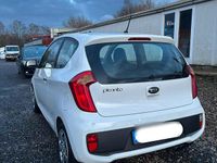 Gebraucht Kia Picanto 51 PS (37 kW) 2014 Weiß Kleinwagen