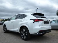 gebraucht Lexus NX300h Style Edition