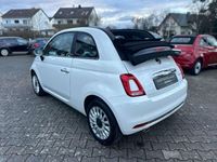 gebraucht Fiat 500C 1.0 Mild-Hybrid DolceVita/Carplay/7Zoll/Im