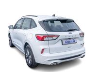 Gebraucht Ford Kuga ST-Line 152 PS (111 kW) 2024 Weiß SUV