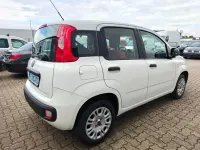 Usata Fiat Panda Easy 69 CV (50 kW) 2020 Bianco Utilitaria