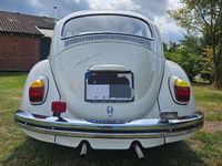 Gebraucht VW Käfer 54 PS (39 kW) 1968 Lotosweiß