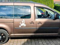 Brugt VW Caddy Maxi 140 HK (102 kW) 2011 Brun MPV