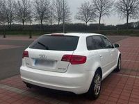 gebraucht Audi A3 Sportback 2.0 TDI DPF Ambition