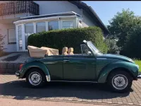 Gebraucht VW Käfer 84 PS (61 kW) 1979 Grün Cabrio