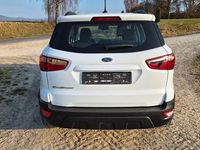 Gebraucht Ford Ecosport Trend 101 PS (74 kW) 2020 Weiß SUV