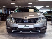 Gebraucht Skoda Octavia 150 PS (110 kW) 2019 Beige Kombi