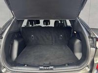 Gebraucht Ford Kuga ST-Line 150 PS (110 kW) 2023 Magnetic grau metallic SUV