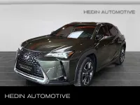 Gebraucht Lexus UX 250h 152 PS (111 kW) 2022 Terrane khaki SUV