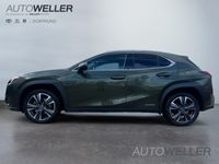 gebraucht Lexus UX 250h Style Edition *CarPlay*LED*Kamera*SHZ*