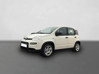Gebraucht Fiat Panda 69 PS (50 kW) 2024 Weiß Kleinwagen