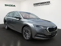 Gebraucht Skoda Octavia Style 150 PS (110 kW) 2024 Grau Kombi