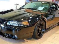 gebraucht Ford Mustang Cabrio Shelby18 3.8 V6 Leder Mach Sound