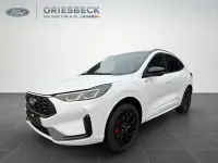 Neu Ford Kuga ST-Line X 242 PS (177 kW) 2026 Frostweiss SUV