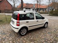 Gebraucht Fiat Panda 69 PS (50 kW) 2012 Weiß Kleinwagen