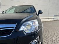 Gebraucht Opel Antara Cosmo 163 PS (119 kW) 2012 Karbonschw graphitschw midnigh SUV