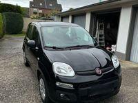 gebraucht Fiat Panda 4x4 0.9 8V TwinAir WILD Start&Stopp WI...