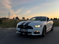 Gebraucht Ford Mustang Fastback 316 PS (232 kW) 2015 Weiß Coupé